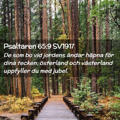 Picture 02 - Psaltaren 65:9 SV1917 - De som bo vid jordens ändar häpna för dina - Bible Verse Picture