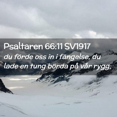 Picture 02 - Psaltaren 66:11 SV1917 - du förde oss in i fängelse, du lade en tung - Bible Verse Picture
