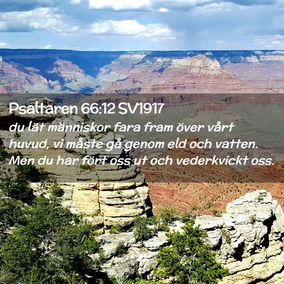 Picture 02 - Psaltaren 66:12 SV1917 - du lät människor fara fram över vårt huvud, - Bible Verse Picture