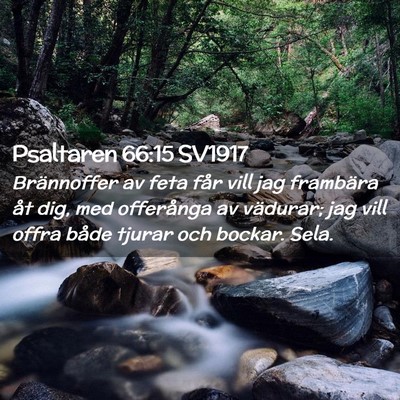 Picture 02 - Psaltaren 66:15 SV1917 - Brännoffer av feta får vill jag frambära åt - Bible Verse Picture