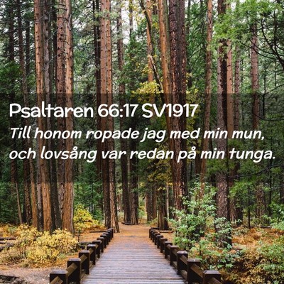 Picture 02 - Psaltaren 66:17 SV1917 - Till honom ropade jag med min mun, och lovsång - Bible Verse Picture