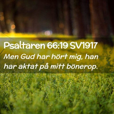 Picture 02 - Psaltaren 66:19 SV1917 - Men Gud har hört mig, han har aktat på mitt - Bible Verse Picture