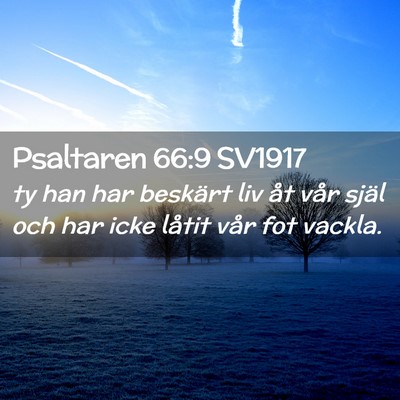 Picture 02 - Psaltaren 66:9 SV1917 - ty han har beskärt liv åt vår själ och har - Bible Verse Picture