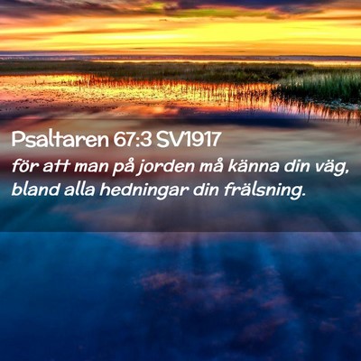 Picture 02 - Psaltaren 67:3 SV1917 - för att man på jorden må känna din väg, - Bible Verse Picture