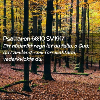 Picture 02 - Psaltaren 68:10 SV1917 - Ett nåderikt regn lät du falla, o Gud; ditt - Bible Verse Picture