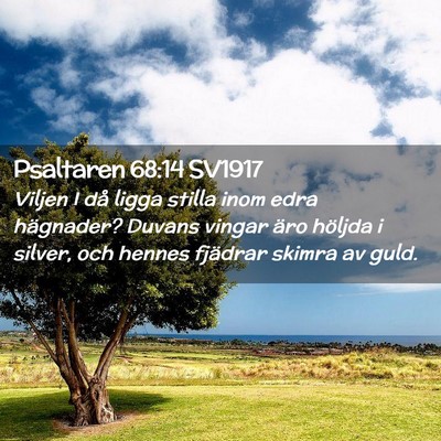Picture 02 - Psaltaren 68:14 SV1917 - Viljen I då ligga stilla inom edra hägnader? - Bible Verse Picture