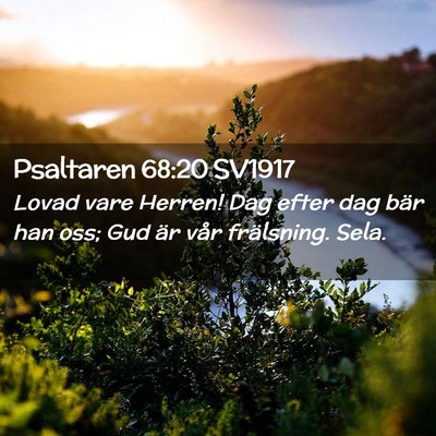 Picture 02 - Psaltaren 68:20 SV1917 - Lovad vare Herren! Dag efter dag bär han oss; - Bible Verse Picture