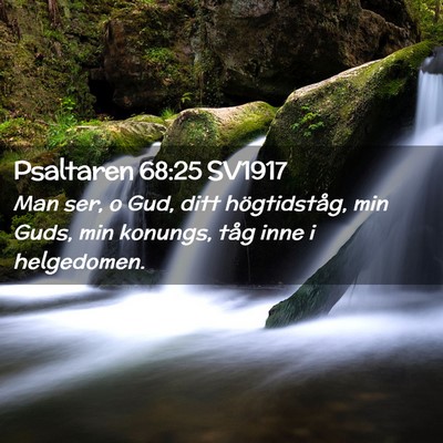 Picture 02 - Psaltaren 68:25 SV1917 - Man ser, o Gud, ditt högtidståg, min Guds, min - Bible Verse Picture