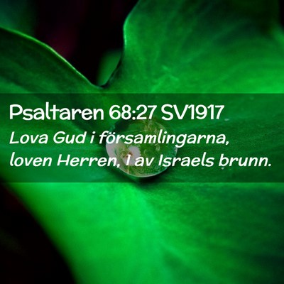 Picture 02 - Psaltaren 68:27 SV1917 - Lova Gud i församlingarna, loven Herren, I av - Bible Verse Picture