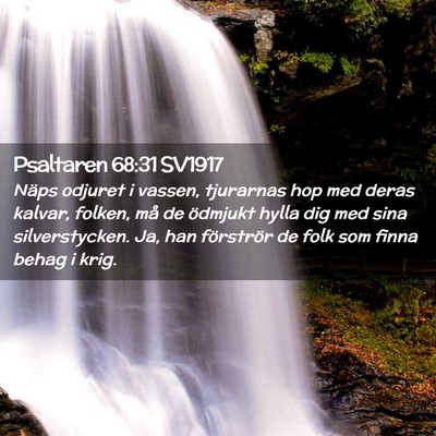 Picture 02 - Psaltaren 68:31 SV1917 - Näps odjuret i vassen, tjurarnas hop med deras - Bible Verse Picture