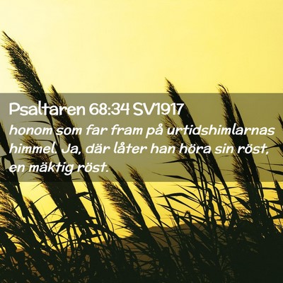 Picture 02 - Psaltaren 68:34 SV1917 - honom som far fram på urtidshimlarnas himmel. - Bible Verse Picture