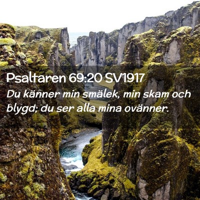 Picture 02 - Psaltaren 69:20 SV1917 - Du känner min smälek, min skam och blygd; du - Bible Verse Picture