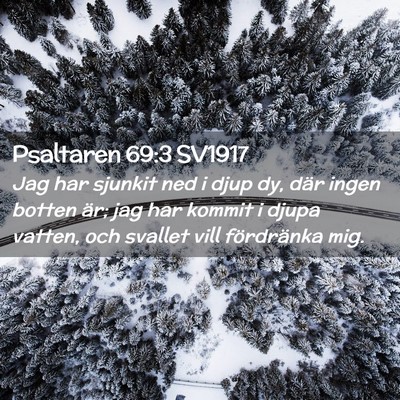 Picture 02 - Psaltaren 69:3 SV1917 - Jag har sjunkit ned i djup dy, där ingen botten - Bible Verse Picture