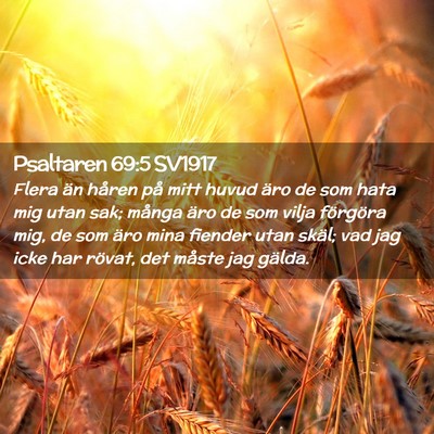 Picture 02 - Psaltaren 69:5 SV1917 - Flera än håren på mitt huvud äro de som hata - Bible Verse Picture