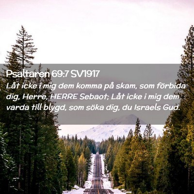Picture 02 - Psaltaren 69:7 SV1917 - Låt icke i mig dem komma på skam, som förbida - Bible Verse Picture
