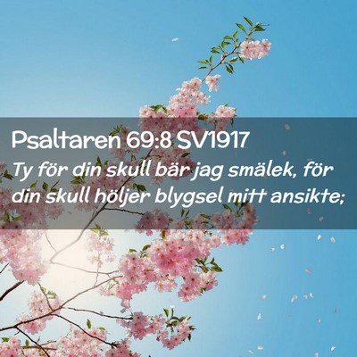 Picture 02 - Psaltaren 69:8 SV1917 - Ty för din skull bär jag smälek, för din - Bible Verse Picture