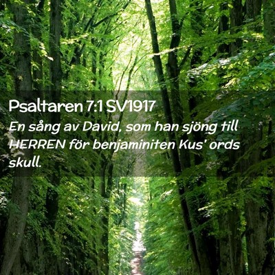 Picture 02 - Psaltaren 7:1 SV1917 - En sång av David, som han sjöng till HERREN - Bible Verse Picture
