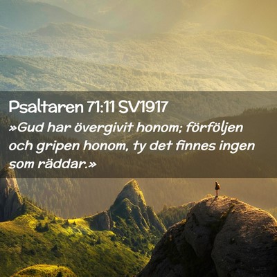 Picture 02 - Psaltaren 71:11 SV1917 - »Gud har övergivit honom; förföljen och - Bible Verse Picture