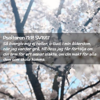 Picture 02 - Psaltaren 71:18 SV1917 - Så övergiv mig ej heller, o Gud, i min - Bible Verse Picture