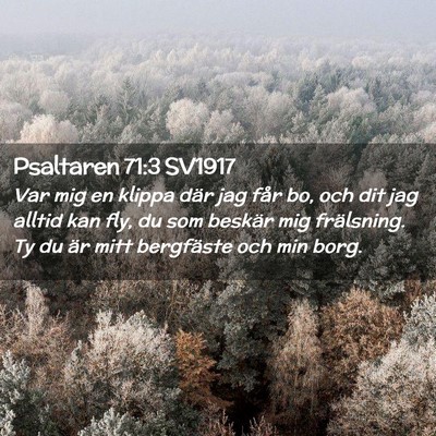 Picture 02 - Psaltaren 71:3 SV1917 - Var mig en klippa där jag får bo, och dit jag - Bible Verse Picture