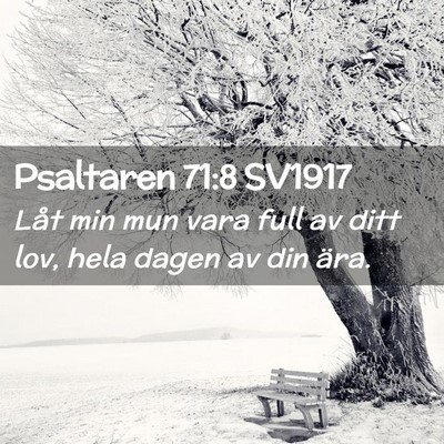 Picture 02 - Psaltaren 71:8 SV1917 - Låt min mun vara full av ditt lov, hela dagen av - Bible Verse Picture