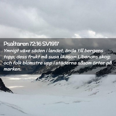 Picture 02 - Psaltaren 72:16 SV1917 - Ymnigt växe säden i landet, ända till bergens - Bible Verse Picture