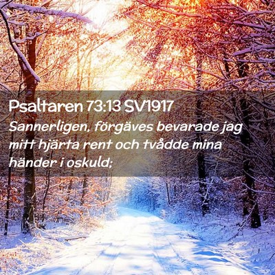 Picture 02 - Psaltaren 73:13 SV1917 - Sannerligen, förgäves bevarade jag mitt hjärta - Bible Verse Picture