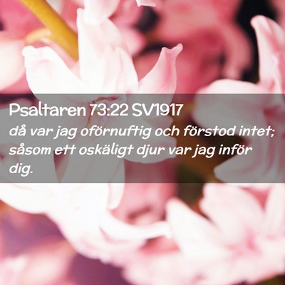 Picture 02 - Psaltaren 73:22 SV1917 - då var jag oförnuftig och förstod intet; - Bible Verse Picture