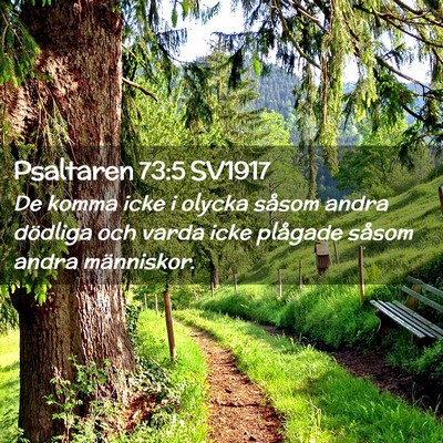 Picture 02 - Psaltaren 73:5 SV1917 - De komma icke i olycka såsom andra dödliga och - Bible Verse Picture
