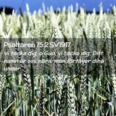 Picture 02 - Psaltaren 75:2 SV1917 - Vi tacka dig, o Gud, vi tacka dig. Ditt namn är - Bible Verse Picture