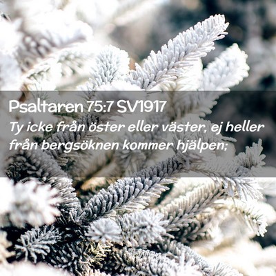 Picture 02 - Psaltaren 75:7 SV1917 - Ty icke från öster eller väster, ej heller - Bible Verse Picture
