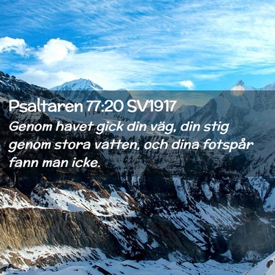 Picture 02 - Psaltaren 77:20 SV1917 - Genom havet gick din väg, din stig genom stora - Bible Verse Picture