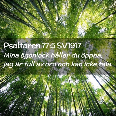 Picture 02 - Psaltaren 77:5 SV1917 - Mina ögonlock håller du öppna; jag är full av - Bible Verse Picture
