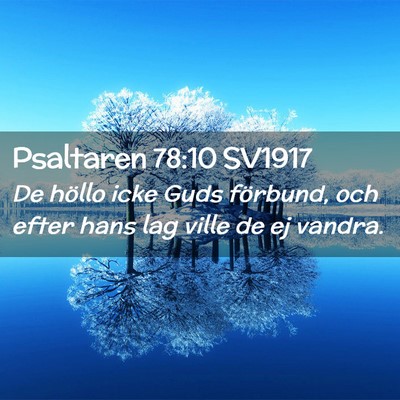 Picture 02 - Psaltaren 78:10 SV1917 - De höllo icke Guds förbund, och efter hans lag - Bible Verse Picture