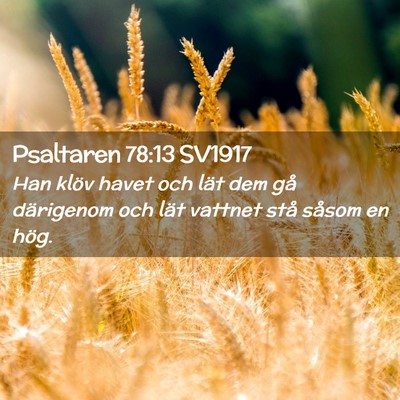 Picture 02 - Psaltaren 78:13 SV1917 - Han klöv havet och lät dem gå därigenom och - Bible Verse Picture