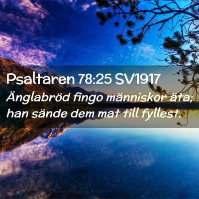 Picture 02 - Psaltaren 78:25 SV1917 - Änglabröd fingo människor äta; han sände dem - Bible Verse Picture