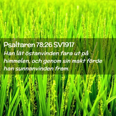 Picture 02 - Psaltaren 78:26 SV1917 - Han lät östanvinden fara ut på himmelen, och - Bible Verse Picture