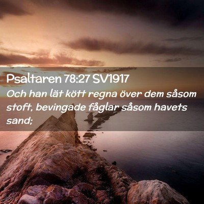 Picture 02 - Psaltaren 78:27 SV1917 - Och han lät kött regna över dem såsom stoft, - Bible Verse Picture