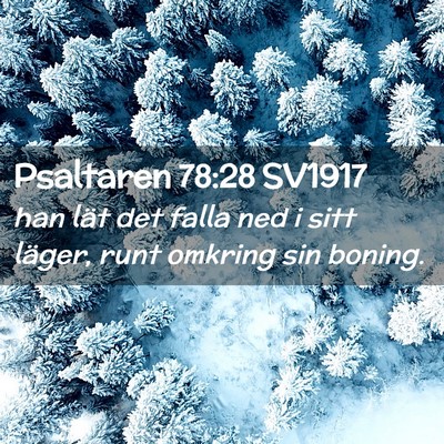 Picture 02 - Psaltaren 78:28 SV1917 - han lät det falla ned i sitt läger, runt - Bible Verse Picture
