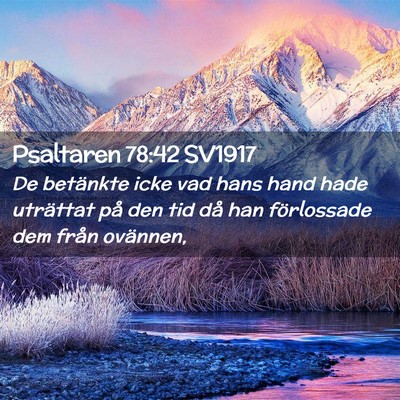Picture 02 - Psaltaren 78:42 SV1917 - De betänkte icke vad hans hand hade uträttat - Bible Verse Picture