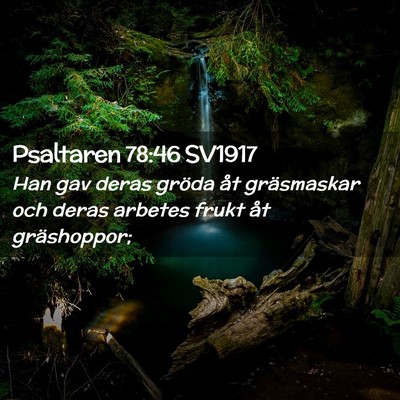 Picture 02 - Psaltaren 78:46 SV1917 - Han gav deras gröda åt gräsmaskar och deras - Bible Verse Picture