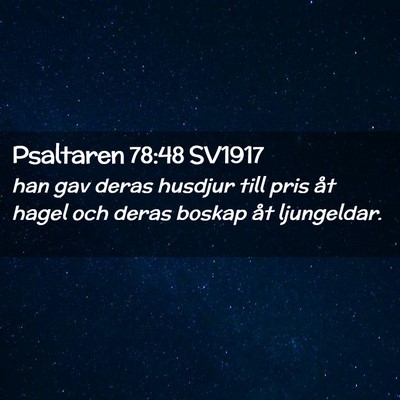 Picture 02 - Psaltaren 78:48 SV1917 - han gav deras husdjur till pris åt hagel och - Bible Verse Picture