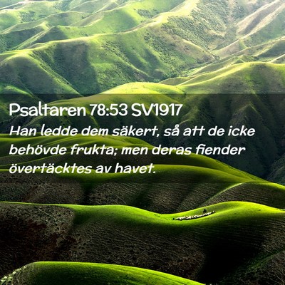 Picture 02 - Psaltaren 78:53 SV1917 - Han ledde dem säkert, så att de icke behövde - Bible Verse Picture