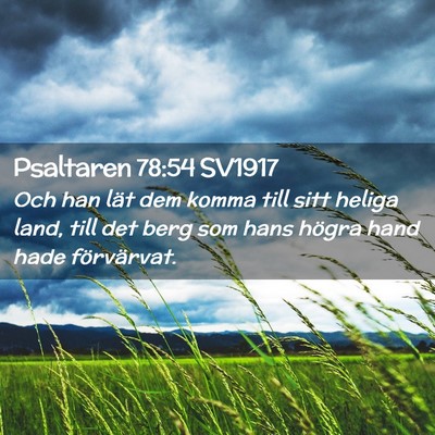 Picture 02 - Psaltaren 78:54 SV1917 - Och han lät dem komma till sitt heliga land, - Bible Verse Picture
