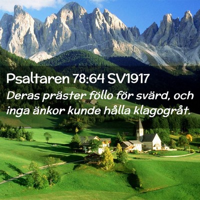 Picture 02 - Psaltaren 78:64 SV1917 - Deras präster föllo för svärd, och inga - Bible Verse Picture