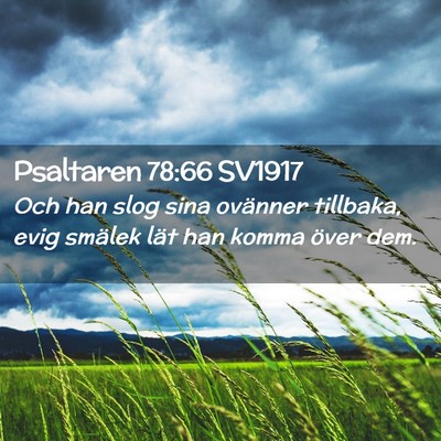 Picture 02 - Psaltaren 78:66 SV1917 - Och han slog sina ovänner tillbaka, evig smälek - Bible Verse Picture