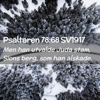 Picture 02 - Psaltaren 78:68 SV1917 - Men han utvalde Juda stam, Sions berg, som han - Bible Verse Picture