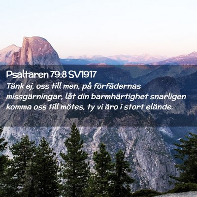 Picture 02 - Psaltaren 79:8 SV1917 - Tänk ej, oss till men, på förfädernas - Bible Verse Picture