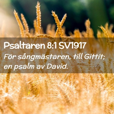 Picture 02 - Psaltaren 8:1 SV1917 - För sångmästaren, till Gittít; en psalm av - Bible Verse Picture