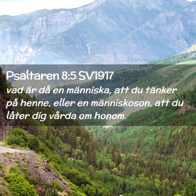 Picture 02 - Psaltaren 8:5 SV1917 - vad är då en människa, att du tänker på - Bible Verse Picture